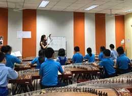 Guzheng Enrichment