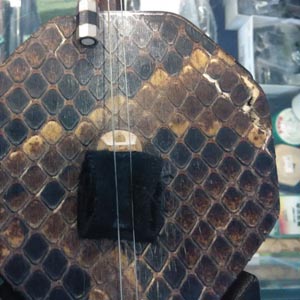 Broken Erhu Skin